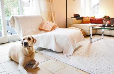 Gelegenheit - Architekten-Haus in ruhiger, idyllischer Wohnlandschaft mit zwei Garagen