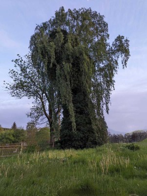 Ruhiges Einfamilienhaus