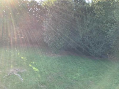 Schoene, 3,5 Zimmerwohnung mit neuem Laminat, sowie frisch gestrichenen Wänden und Balkon