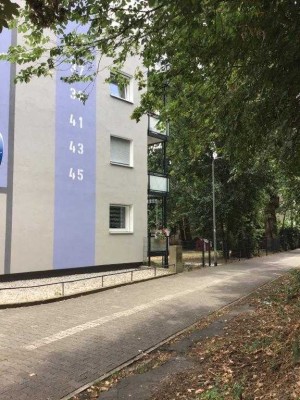Die ideale Singlewohnung