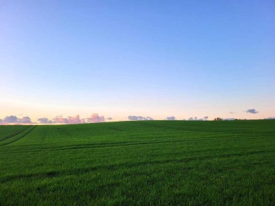 Erstbezug mit Aufzug und EBK in Tessin!