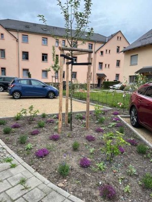 Ruhiges Wohnen an den Weinbergen Radebeul