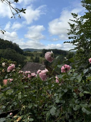 Raumwunder: gemütliches Haus mit 4 Zimmern und idyllischem Ausblick