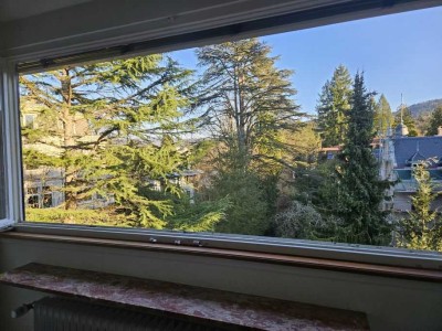 2-Zi-DG-Whg, Baden-Baden, ruhige Halbhöhenlage, Tgl-Bad/Wanne - Ruhe liebende EINZELPERSON erwünscht