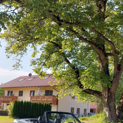 Wohnung 1. Stock mit großem Dachgeschosszimmer und Balkon in Ruhiger Lage