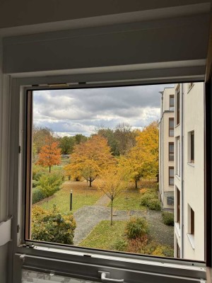 In ca. 6 min am See &  in der Natur Wunderschöne Wohnung im 2.OG mit Lift in Senftenberg