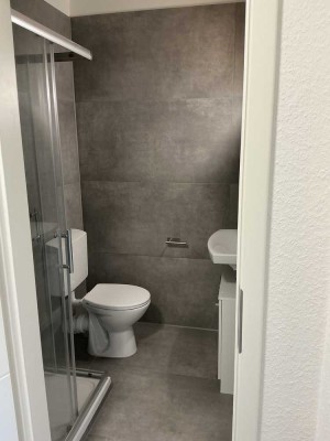Erstbezug nach Sanierung und Einbauküche:  1-Zimmer-Wohnung mit geh. Innenausstattung