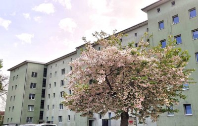 Ihre 3 Raum-Wohnung mit Balkon ist frei