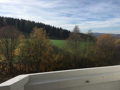Gepflegte 3-Raum-Wohnung mit Balkon und Einbauküche in Lößnitz