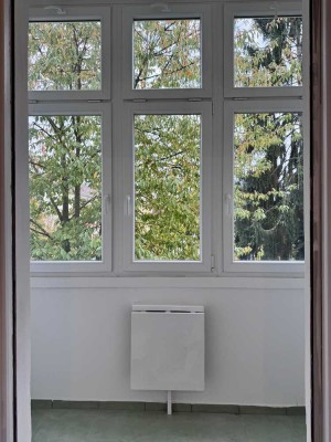 Großzügig geschnittene 3-Zimmer-Wohnung in Frankfurt-Höchst | nahe Klinikum-Höchst | 1. OG