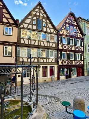 Vollständig renovierte Wohnung mit vier Zimmern sowie Balkon / Dachterrasse und EBK in Schwäbisch