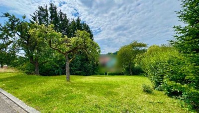 Ihr individuelles Traumhaus von Bien-Zenker in Rauenberg