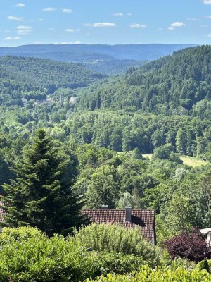 LAGE, LAGE, LAGE - DHH auf schönem Grundstück mit TraumBLICK ins Albtal in Busenbach