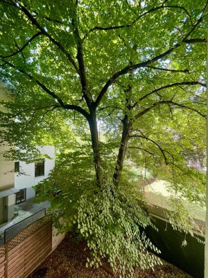 Rohdiamant im 14. Bezirk – Altbauwohnung mit Potenzial in Top-Lage zum Sanieren &amp; Gestalten!
