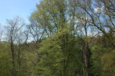 Hochwertige und sonnige Maisonettewohnung in ruhigem Wohngebiet (Baind) in Biberach