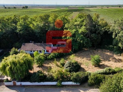 Freistehendes Anwesen in Panoramalage mit Erweiterungsoption - Liebhaberobjekt und Investorenchance