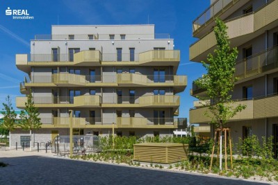 Hirschfeld - Ihr neues Zuhause im Grünen - anfragen, besichtigen, einziehen - 41 bis 96 m²