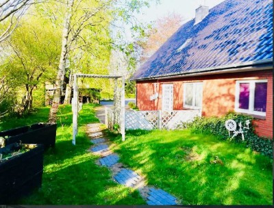 1100.0 € - 110.0 m² - 5.0 Zi.