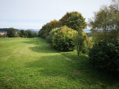 4- Zimmerwohnung im Grünen