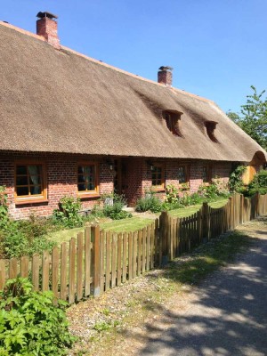 Traumhafte, sanierte Reetdachkate im Urlaubsgebiet Mittelangeln mit neuwertigem Reetdach