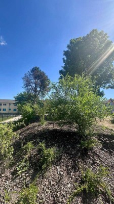 +++ GEMÜTLICHE ERGESCHOSSWOHNUNG MIT BALKON UND GARTEN +++