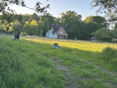 Idyllisch gelegenes Haus mit Pferdekoppel in der Nähe von Hamburg