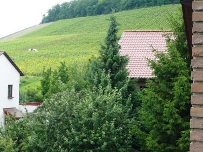 Achtung Single/Wochenendheimfahrer! Gemütliche Dachgeschoßwohnung!