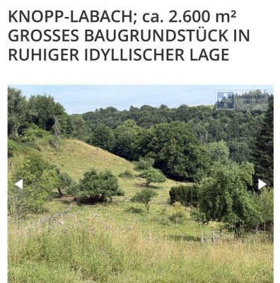 Großzügiges Baugrundstück