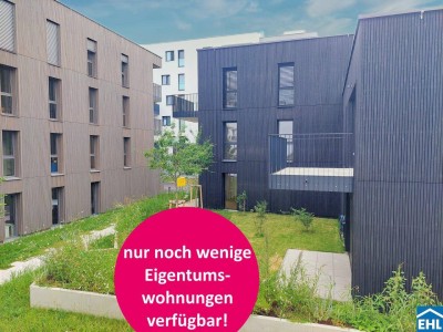 Herzlich willkommen zum Projekt WILDGARTEN 