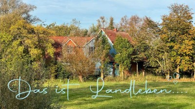 Zwei Häuser, ein Zuhause – Idyllische Alleinlage mit Weitblick an der nordfriesischen Nordseeküste!