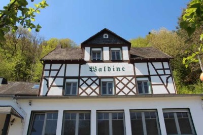 Großes Landhaus mit tollem Moselblick!!