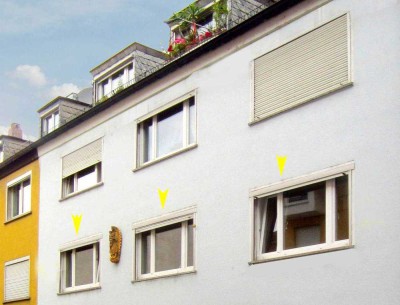 Ein Katzensprung zur Alten Mainbrücke