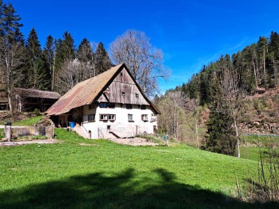 Einzigartiger, denkmalgeschützter historischer Bauernhof in Lauterbach im Schwarzwald