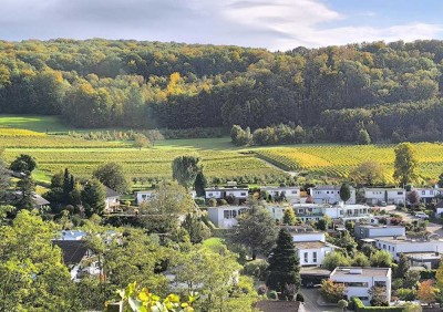 Traumhafte Immobilie in Spitzenlage mit Blick über die Weinberge