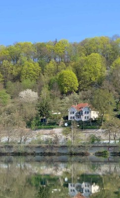 ***Wohnen mit unverbaubaren Donaublick - einzigartige Denkmalvilla***