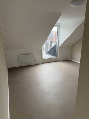 1,5 Zimmer Wohnung im Frankenbergerviertel