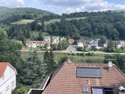 Neckarblick Pur, tolle Wohnung mit großer unverbaubarer Terrasse