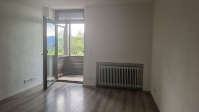 geräumige 1-Zimmer Wohnung mit Einbauküche