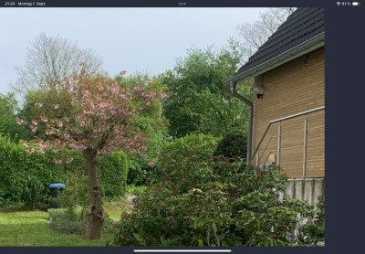 Gemütlich Wohnung mit Garten wie im eigenen Haus , ruhige Lage von Bergedorf