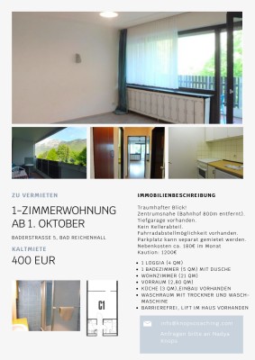 Single-Appartment mit Bergblick Bad Reichenhall