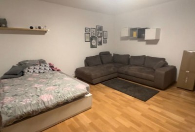 Großzügige 1-Zimmer-Wohnung in Magdeburg zur Nachmiete