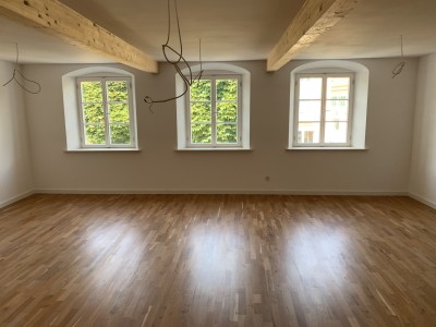 3 Zimmer-Traumwohnung in Zentrum !