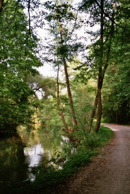 Gemütliche, helle kleine Wohnung für Single -bitte Beschreibung lesen-