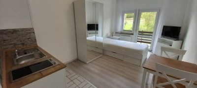 1-Zimmer-Appartement, möbliert mit Balkon in Weilrod