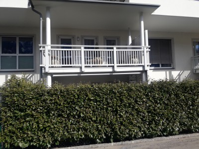 Sonnige Wohnung in ruhiger zentraler Lage mit 15,9 m2 Balkon mit Südausrichtung Blick Goldeck