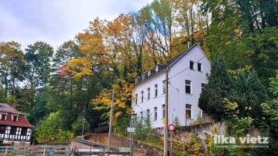 3-Familienhaus mit Fernblick - unterhalb der Glauchauer Schlösser