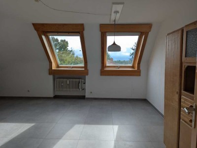 Ruhig, groß & hell: Dachgeschosswohnung in der Oststadt