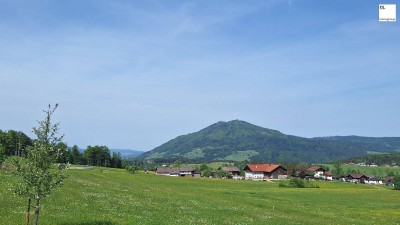 Wohnen am Waldesrand im schönen Mondseeland - Ruhelage - Baubeginn erfolgt! *provisionsfrei* Zweitwohnsitz
