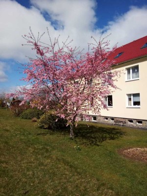 helle Erdgeschosswohnung in Witzschdorf , auf dem Land und trotzdem nah dran