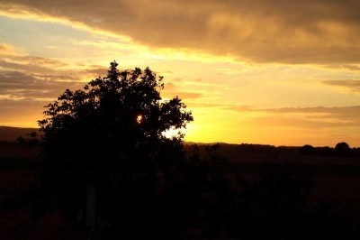 Charmante 2-Zimmer Wohnung, modernisiert, in Gehrden / Redderse